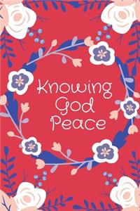 sadness, Knowing God's Peace, Devotionals for Life (the Red).
