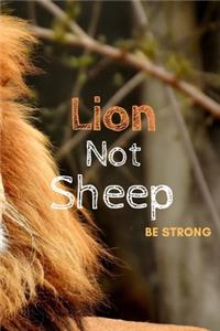 Lion Not Sheep