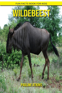 Wildebeest