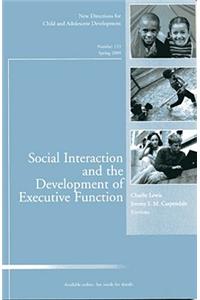 Social Interaction and the Development of Executive Function