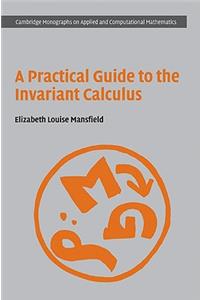 A Practical Guide to the Invariant Calculus