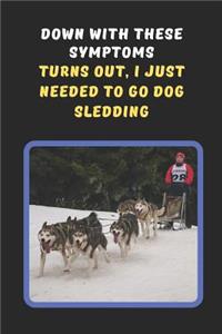 Down With These Symptoms.. Turns Out, I Just Needed To Go Dog Sledding