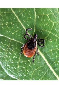 Arachnid School Composition Book Deer Tick Arachnology