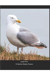Large Print - 2020 - 15 Months Weekly Planner - Beach - Posing Seagull