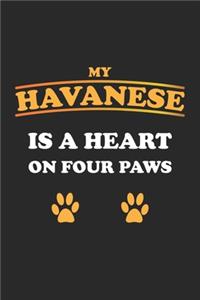 My Havanese is a heart on four paws