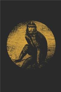 Monkey Drawing