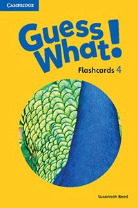 Guess What! American English Level 4 Flashcards (Pack of 88)