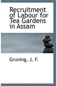 Recruitment of Labour for Tea Gardens in Assam