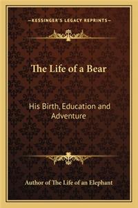 The Life of a Bear