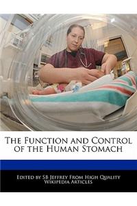 The Function and Control of the Human Stomach