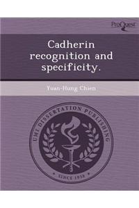 Cadherin Recognition and Specificity