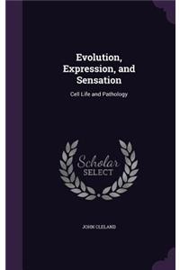 Evolution, Expression, and Sensation