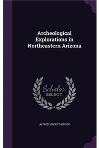 Archeological Explorations in Northeastern Arizona