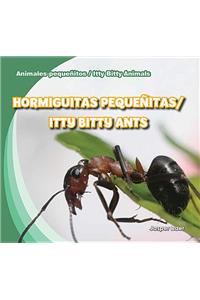 Hormiguitas Pequeñitas / Itty Bitty Ants