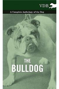 The Bulldog - A Complete Anthology of the Dog -