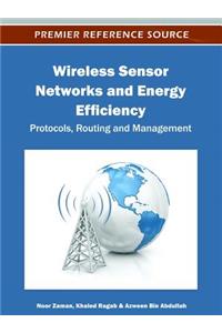 Wireless Sensor Networks and Energy Efficiency