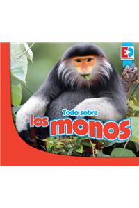 Todo Sobre Los Monos