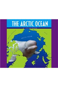 The Arctic Ocean