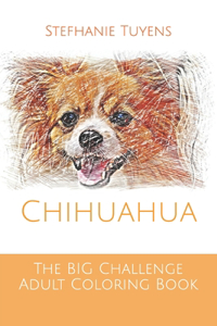 BIG Challenge Adult Coloring Book