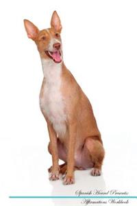 Spanish Hound Affirmations Workbook Spanish Hound Presents