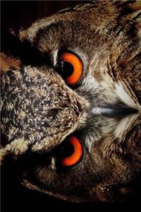Eagle Owl Looking Cool Journal