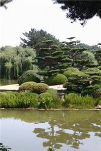 Bonsai Tree in a Japanese Garden Journal