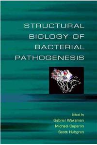 Structural Biology of Bacterial Pathogensis