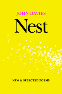 Nest