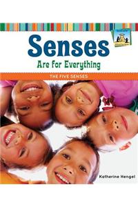 Senses Are for Everything: The Five Senses