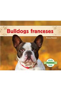 Bulldogs Franceses (French Bulldogs ) (Spanish Version)