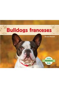Bulldogs Franceses (French Bulldogs )