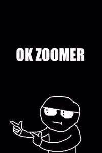Ok Zoomer - Funny Gag Notebook Cover For Older Generations - 6x9 Inches - 120 pages