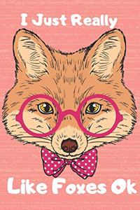 I Just Really Like Foxes OK Notebook for Fox College Blank Lined 6 x 9 inch 120 pages Lovers Journal