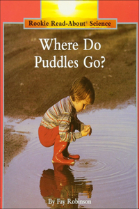 Where Do Puddles Go?