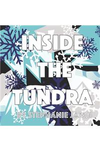 Inside the Tundra