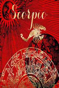 2020 Daily Planner Scorpio Symbol Astrology Zodiac Sign Horoscope 388 Pages