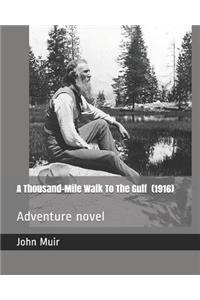 A Thousand-Mile Walk to the Gulf (1916)
