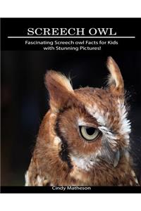 Screech Owl: Fascinating Screech Owl Facts for Kids with Stunning Pictures!