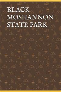 Black Moshannon State Park