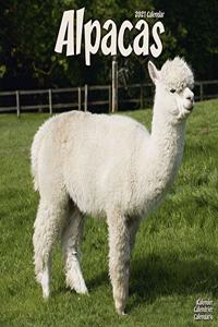 ALPACAS