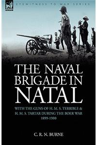 Naval Brigade in Natal