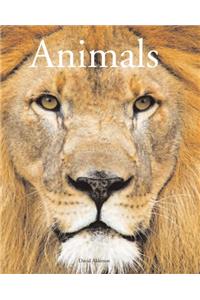 Encyclopedia of Animals