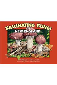 Fascinating Fungi of New England