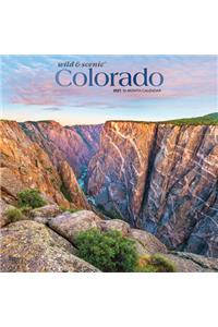 Colorado Wild & Scenic 2021 Square Foil