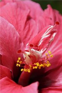 Hibiscus Notebook