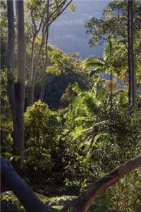 A View of the Australian Rainforest Journal