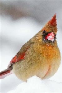 Painted Cardinal in the Snow Journal