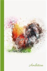Ambition