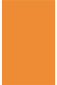 Tangerine 101 - Narrow Lined Notebook with Margins - 5X8