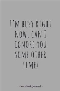 Notebook/Journal: "I am busy right now, can I ignore you some other time?" Lined Notebook/Journal (6X9Large)